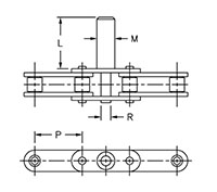 Citrus Chain Drawing